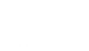 Captain D's Seafood Kitchen